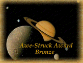 Awe Struck Award in Bronze
